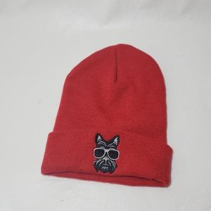 Cool schnauzer Dog with sunglasses red beanie hat winter cool dog